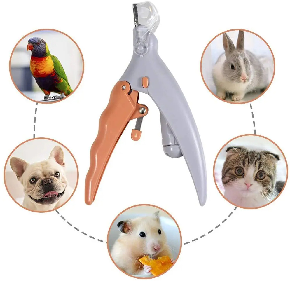 Grooming Scissors - Gunting Pemotong Kuku Hewan Peliharaan Profesional